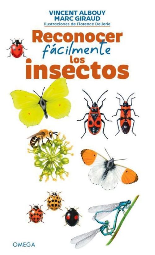 RECONOCER FÁCILMENTE LOS INSECTOS